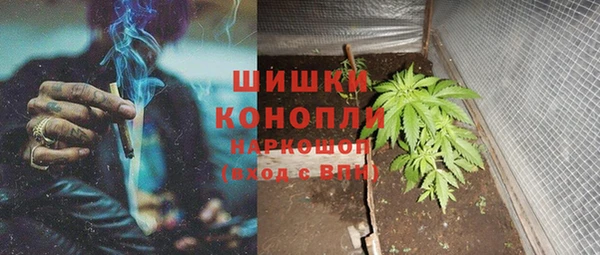 трава Абаза