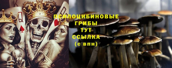 трава Абаза