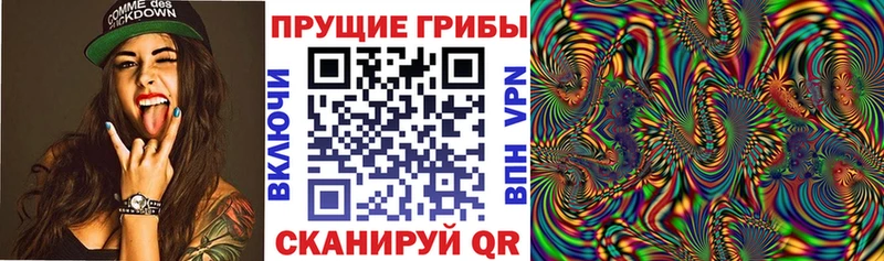 Псилоцибиновые грибы Cubensis Азнакаево