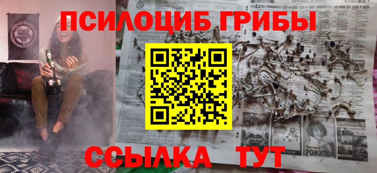 Галлюциногенные грибы Cubensis  Вход с VPN  Азнакаево 